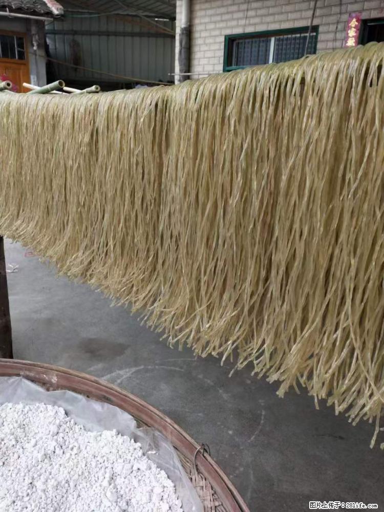 【灌阳正宗红薯粉】美女家里自己做的，干净卫生，假一赔十，价格合理，抢购电话：13737312895 - 美食天地 - 武威生活社区 - 武威28生活网 wuwei.28life.net