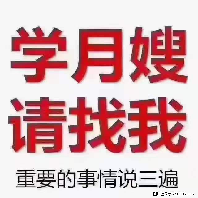 为什么要学习月嫂，育婴师？ - 其他广告 - 广告专区 - 武威分类信息 - 武威28生活网 wuwei.28life.net