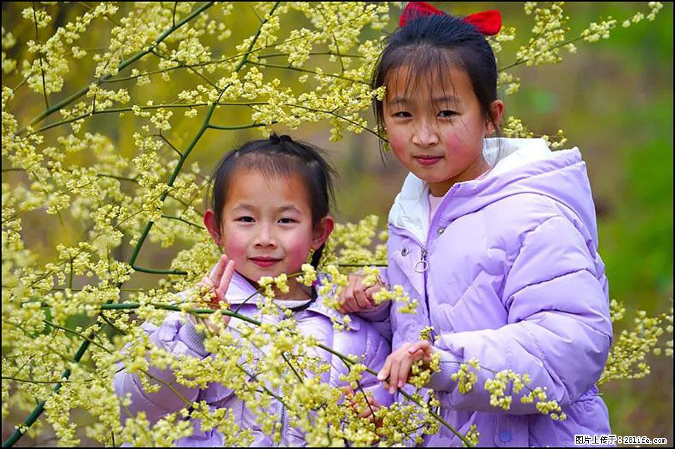 【春天,广西桂林灌阳县向您发出邀请!】米珠山前有片山苍子花在飘香 - 游山玩水 - 武威生活社区 - 武威28生活网 wuwei.28life.net