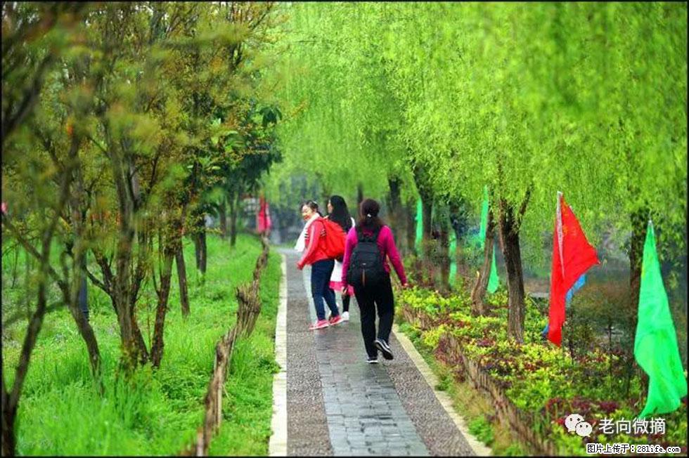 【春天，广西桂林灌阳县向您发出邀请！】江口老街又逢春 - 游山玩水 - 武威生活社区 - 武威28生活网 wuwei.28life.net