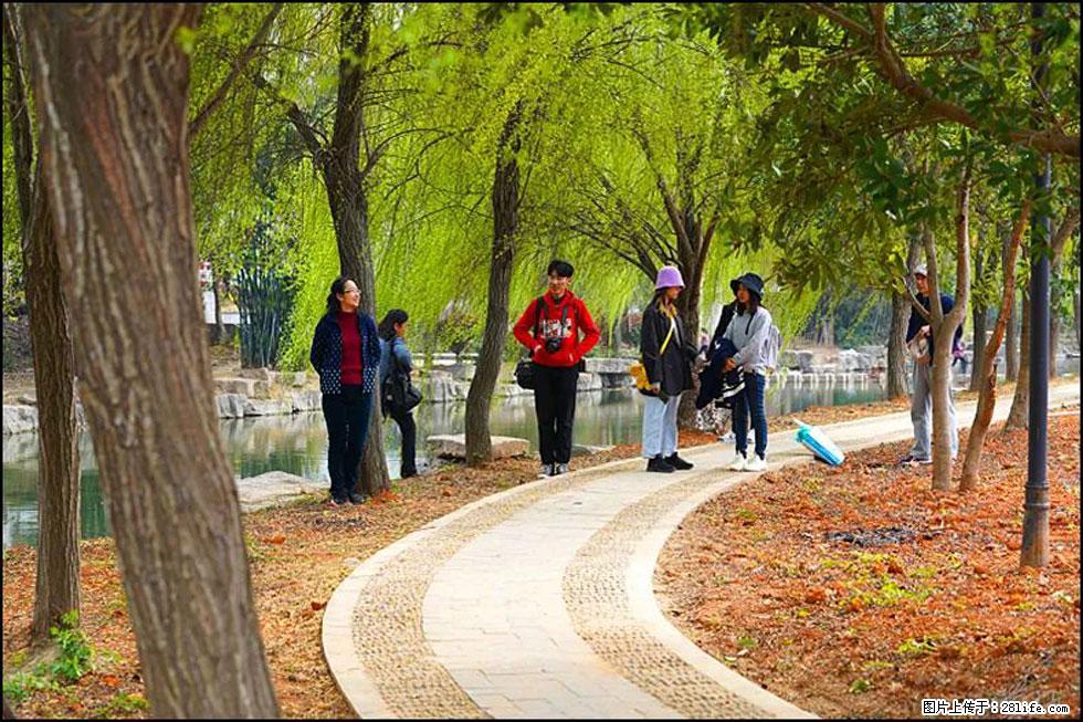 【春天，广西桂林灌阳县向您发出邀请！】江口老街又逢春 - 游山玩水 - 武威生活社区 - 武威28生活网 wuwei.28life.net