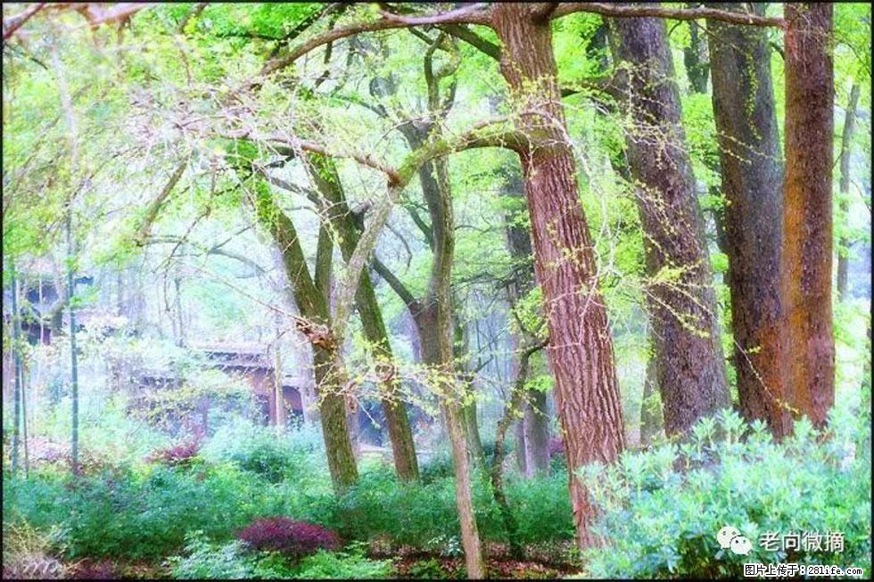 【春天，广西桂林灌阳县向您发出邀请！】在小龙村与春天约会 - 游山玩水 - 武威生活社区 - 武威28生活网 wuwei.28life.net