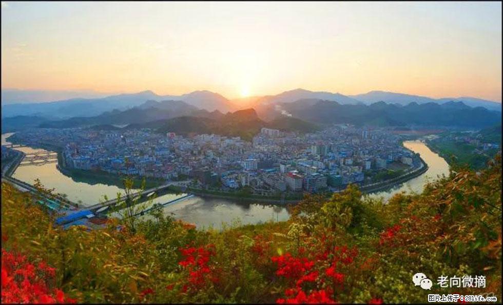 【春天，广西桂林灌阳县向您发出邀请！】登麒麟山，相约映山红 - 游山玩水 - 武威生活社区 - 武威28生活网 wuwei.28life.net