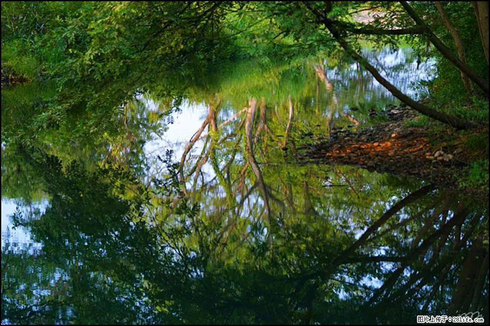 【春天，广西桂林灌阳县向您发出邀请！】熊家寨湿地公园 - 游山玩水 - 武威生活社区 - 武威28生活网 wuwei.28life.net