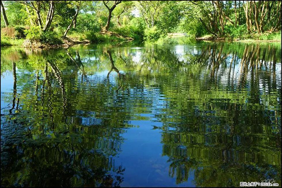 【春天，广西桂林灌阳县向您发出邀请！】熊家寨湿地公园 - 游山玩水 - 武威生活社区 - 武威28生活网 wuwei.28life.net