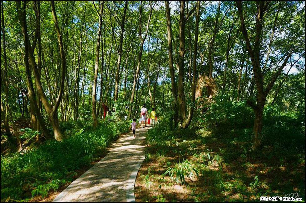 【春天，广西桂林灌阳县向您发出邀请！】熊家寨湿地公园 - 游山玩水 - 武威生活社区 - 武威28生活网 wuwei.28life.net