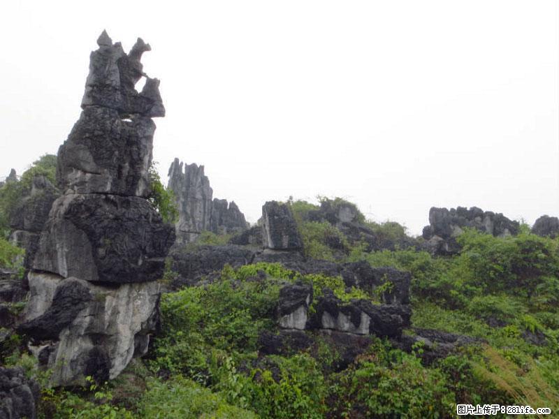桂林旅游名城景点：灌阳文市石林 - 游山玩水 - 武威生活社区 - 武威28生活网 wuwei.28life.net