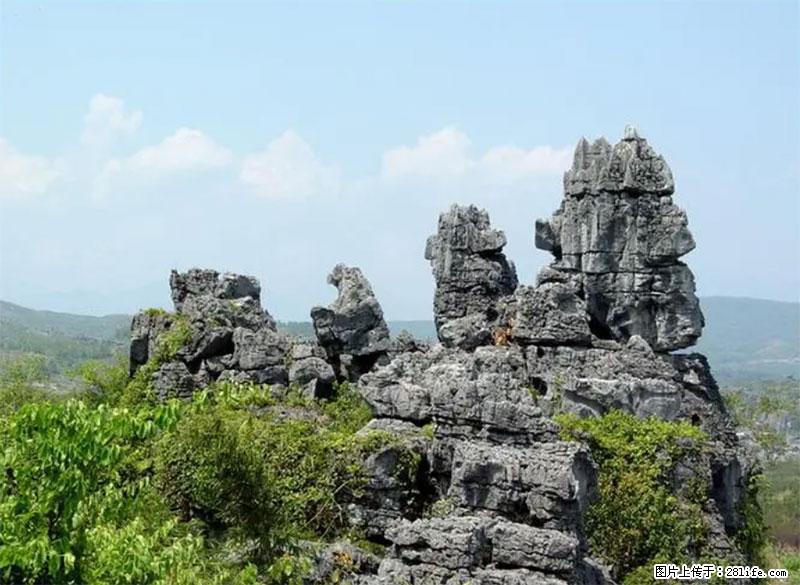 桂林旅游名城景点：灌阳文市石林 - 游山玩水 - 武威生活社区 - 武威28生活网 wuwei.28life.net