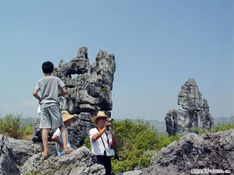桂林旅游名城景点：灌阳文市石林 - 游山玩水 - 武威生活社区 - 武威28生活网 wuwei.28life.net