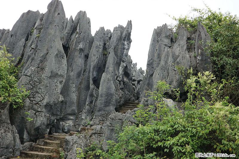 桂林旅游名城景点：灌阳文市石林 - 游山玩水 - 武威生活社区 - 武威28生活网 wuwei.28life.net