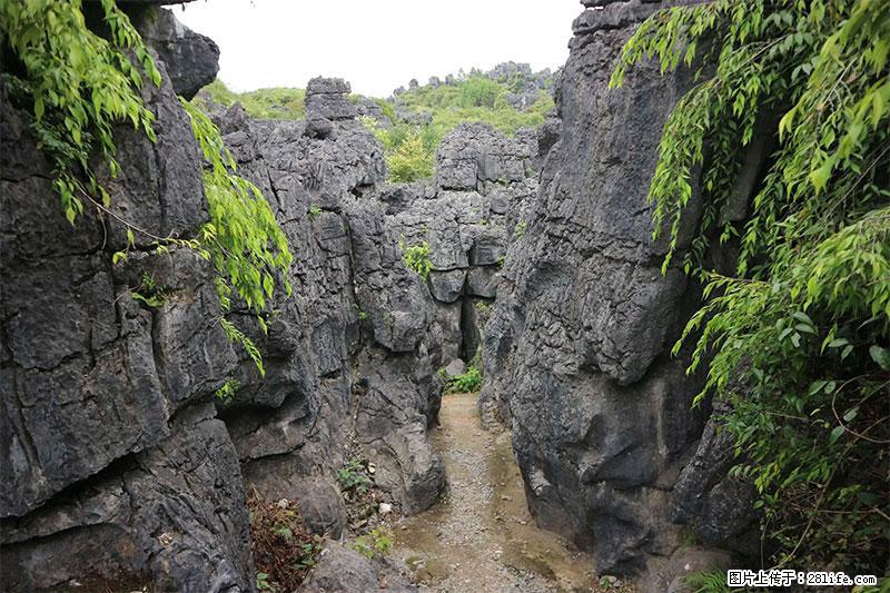 桂林旅游名城景点：灌阳文市石林 - 游山玩水 - 武威生活社区 - 武威28生活网 wuwei.28life.net