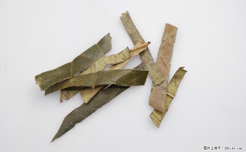 苦丁茶有哪些功效和作用 - 生活百科 - 武威生活社区 - 武威28生活网 wuwei.28life.net