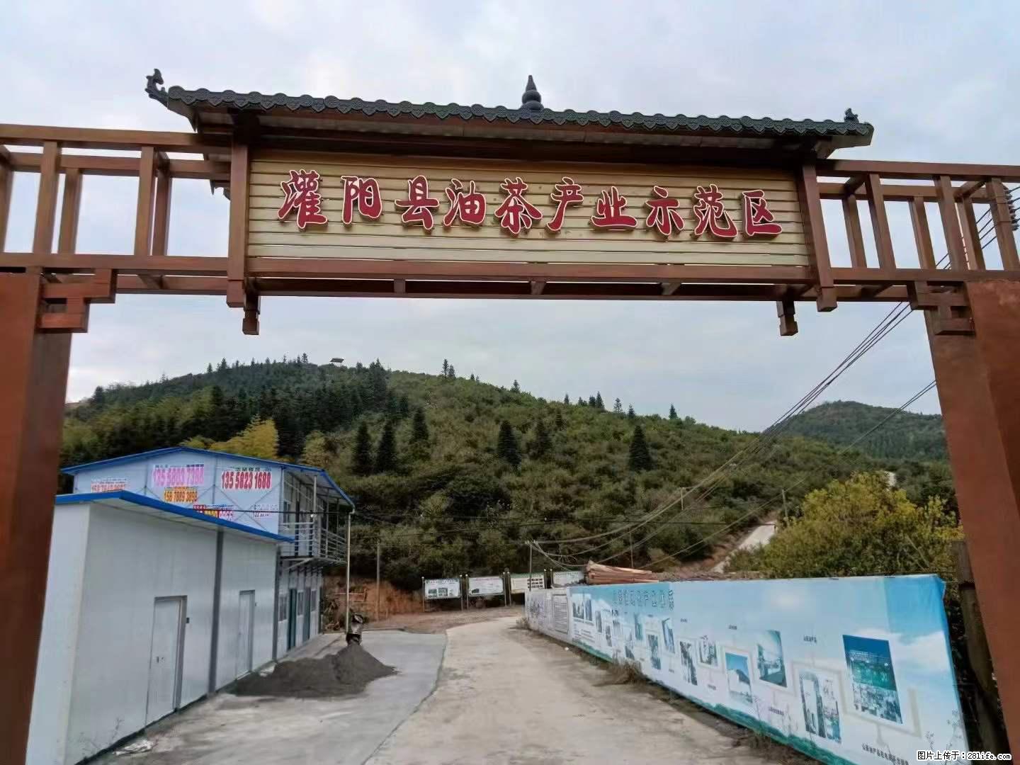 【灌阳县油茶产业示范区】一个有着充实的精神生活的人，对待身外之物自会有一种淡泊的态度 - 美食天地 - 武威生活社区 - 武威28生活网 wuwei.28life.net