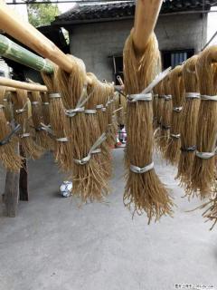 【灌阳正宗红薯粉】美女家里自己做的，干净卫生，假一赔十，价格合理，抢购电话：13737312895 - 武威28生活网 wuwei.28life.net