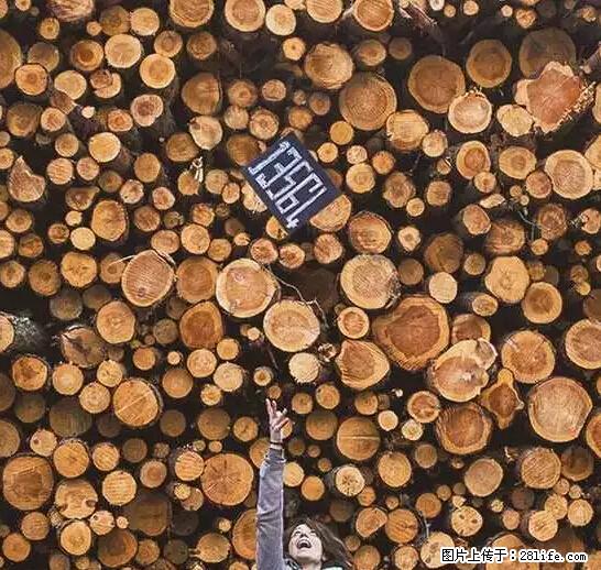 辞掉工作周游世界？现在他们在洗厕所…… - 游山玩水 - 武威生活社区 - 武威28生活网 wuwei.28life.net