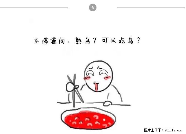千万不要和这9种哈卵一起吃火锅！ - 美食天地 - 武威生活社区 - 武威28生活网 wuwei.28life.net