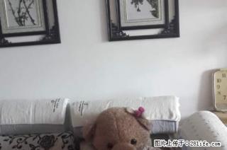 家具齐全，房子干净整洁 - 武威28生活网 wuwei.28life.net