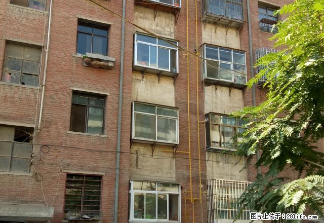 西关麻纺厂附近，可拎包入住的楼房，2居室，可随时看房 - 房屋出租 - 房屋租售 - 武威分类信息 - 武威28生活网 wuwei.28life.net