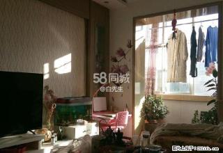 宋园新村 精装修 可做婚房 - 武威28生活网 wuwei.28life.net