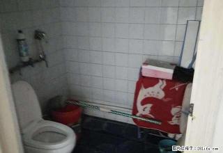 一中巷子小户型房周边设施齐全生活便利 - 武威28生活网 wuwei.28life.net