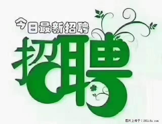 【招聘摄像师】待遇：试用期6000元/月，转正7000元/月+五险一金+餐补+节日福利+奖金 - 职场交流 - 武威生活社区 - 武威28生活网 wuwei.28life.net