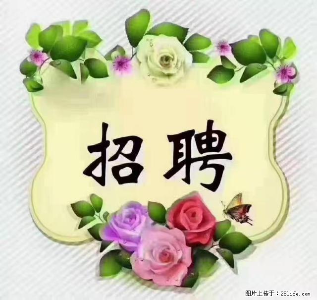 【招聘】住家育儿嫂，上户日期：4月4日，工作地址：上海 黄浦区 - 职场交流 - 武威生活社区 - 武威28生活网 wuwei.28life.net