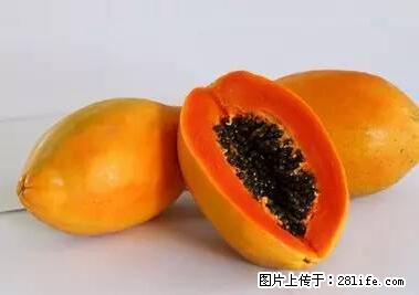 晕车、脚气、牙齿变黄、皮肤粗糙？学会这些三分钟搞定！ - 武威生活资讯 - 武威28生活网 wuwei.28life.net