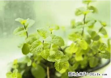 晕车、脚气、牙齿变黄、皮肤粗糙？学会这些三分钟搞定！ - 武威生活资讯 - 武威28生活网 wuwei.28life.net
