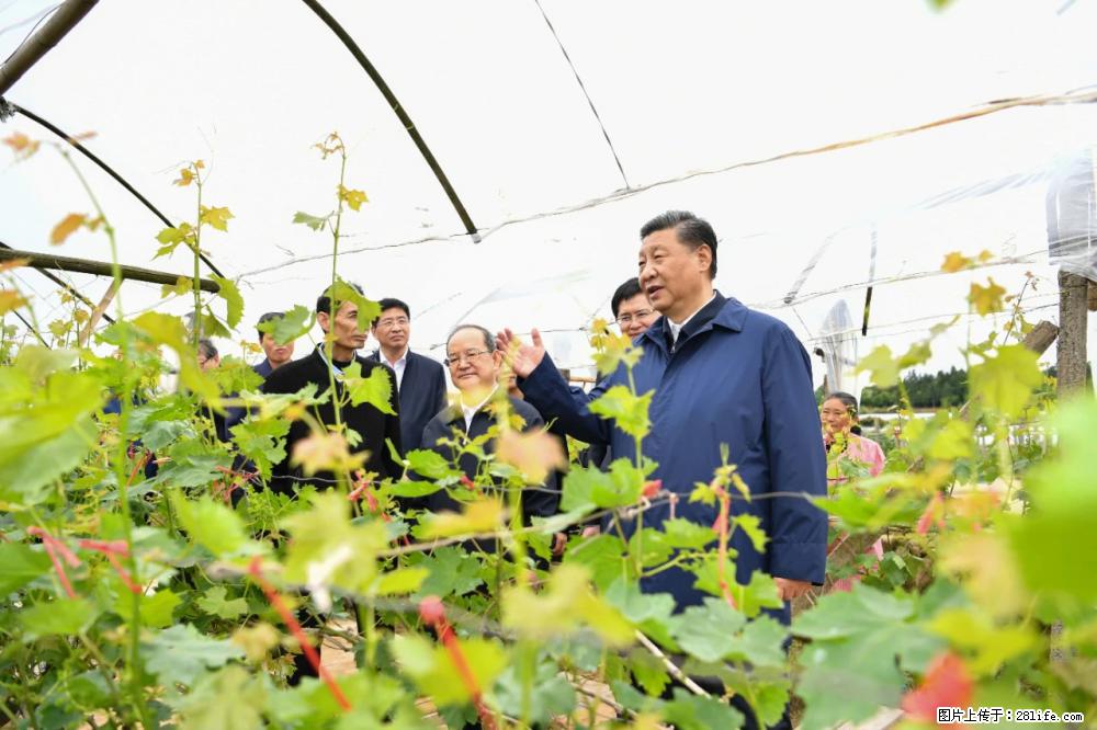习近平赴广西考察调研 - 武威生活资讯 - 武威28生活网 wuwei.28life.net