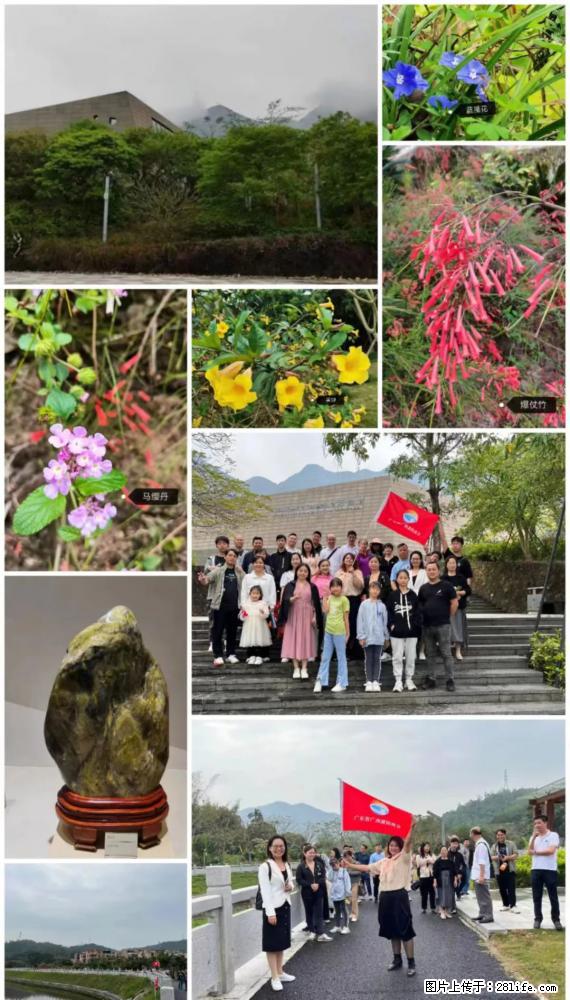 “粤灌文化 美好生活”油茶文化主题活动在广东深圳成功举办 - 武威生活资讯 - 武威28生活网 wuwei.28life.net