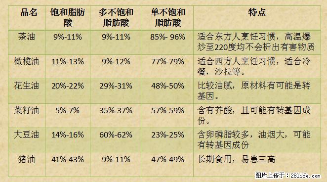 揭秘茶油的5大核心营养成分！被称为人体健康的“守护盾”！ - 武威生活资讯 - 武威28生活网 wuwei.28life.net