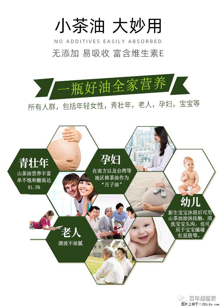 世界没有真相，只有认知，最好的食用油是中国的山茶油！ - 武威生活资讯 - 武威28生活网 wuwei.28life.net