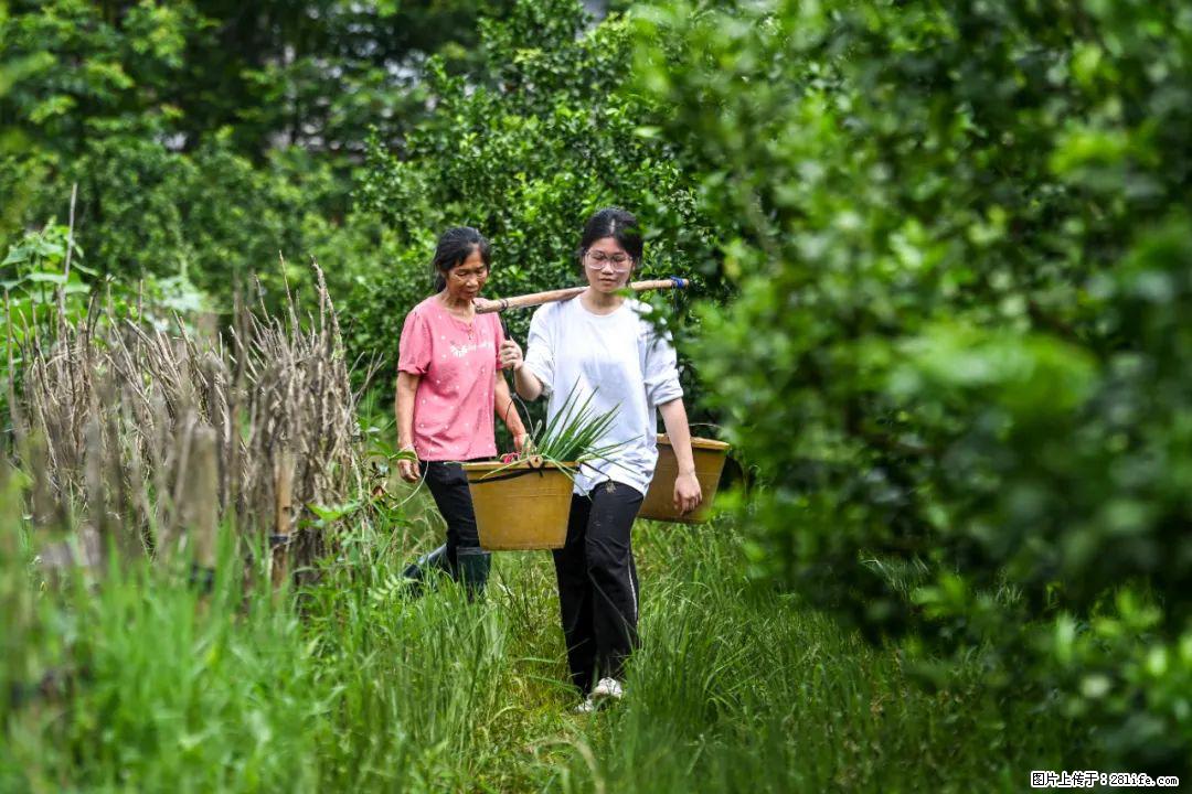 全网追的“扁担女孩”，找了一份暑假工，时薪12元 - 武威生活资讯 - 武威28生活网 wuwei.28life.net