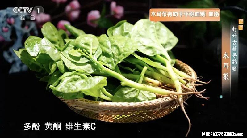 比牛奶补钙还厉害！凉血解毒、稳血糖...这菜冬天必吃，很多人却当草 - 武威生活资讯 - 武威28生活网 wuwei.28life.net