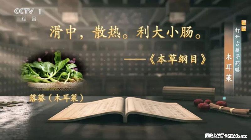 比牛奶补钙还厉害！凉血解毒、稳血糖...这菜冬天必吃，很多人却当草 - 武威生活资讯 - 武威28生活网 wuwei.28life.net
