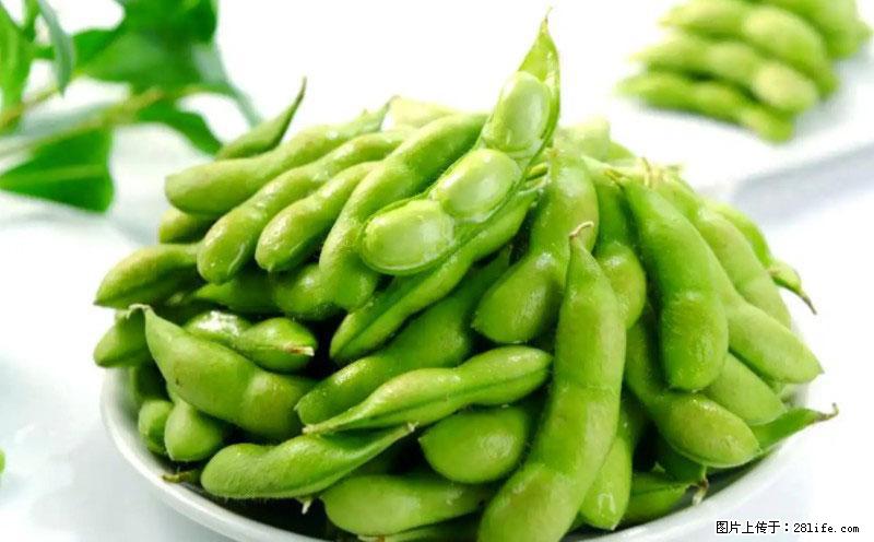 这些蔬菜是“天然钙片”，这6种被医生重点推荐 - 武威生活资讯 - 武威28生活网 wuwei.28life.net