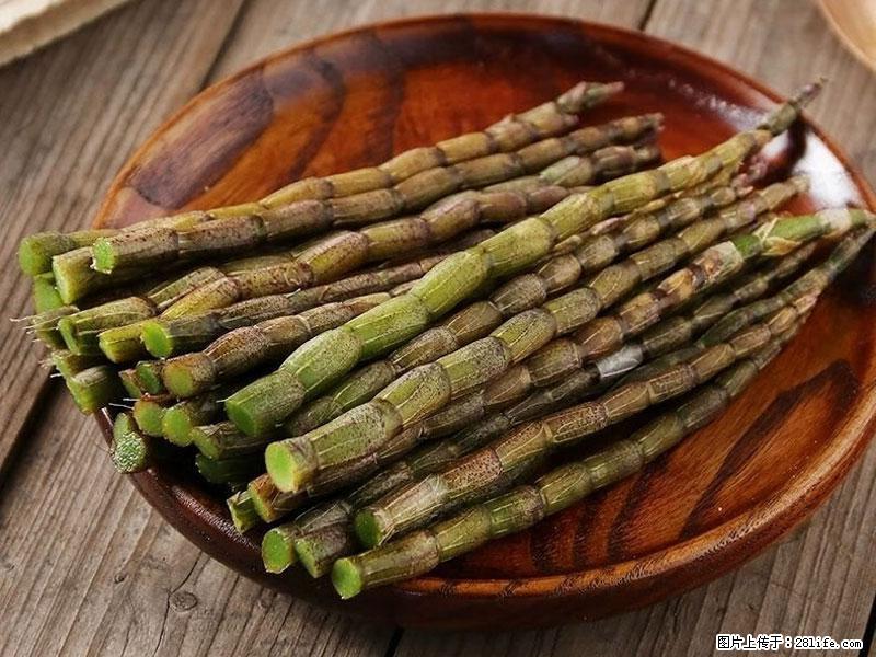 铁皮石斛的作用与功能主治 - 武威生活资讯 - 武威28生活网 wuwei.28life.net